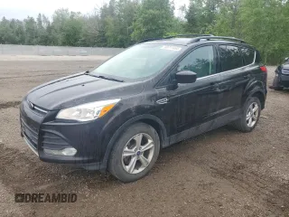 2013 Ford Escape SE z VIN 1FMCU0G94DUA81942, wystawiony jako Copart lot #60711465 z przebiegiem 194 193 mil mil oraz Szkoda całkowita • Salvage title. Historia ofert i sprzedaży dostępna na DreamBid. Obrazek 1.
