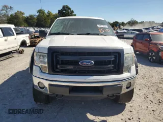 2012 Ford F-150 XL with VIN 1FTFW1EF5CFB56290, listed as a Copart auction lot 74875874 with 233,978 mi miles and Salvage title. Bid and sale history available at DreamBid. Image 5.