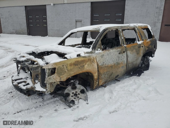 2018 Chevrolet Tahoe LS with VIN 1GNSKAKCXJR244131, listed as a Copart auction lot 84722054 with 0 mi miles and Salvage Title. Bid and sale history available at carsss.com. Image 1.
