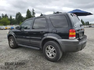 2005 Ford Escape XLT with VIN 1FMYU03165KB36801, listed as a Copart auction lot 61978705 with 217,658 mi miles and Salvage title. Bid and sale history available at DreamBid. Image 2.