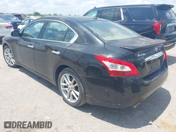 2011 Nissan Maxima SV with VIN 1N4AA5AP9BC865311, listed as a IAAI auction lot 42232838 with 244,245 mi miles and . Bid and sale history available at DreamBid. Image 3.