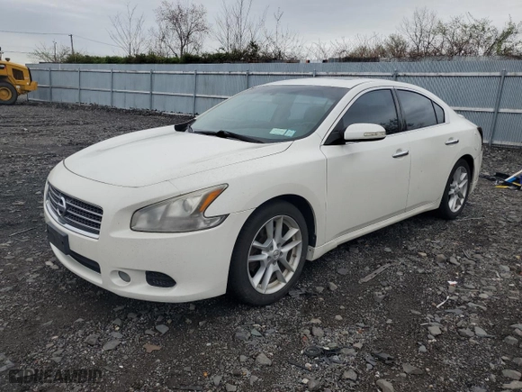 2009 Nissan Maxima 3.5 SV w/Sport Pkg with VIN 1N4AA51E89C842983, listed as a Copart auction lot 51309885 with 80,844 mi miles and Salvage Title. Bid and sale history available at carsss.com. Image 1.