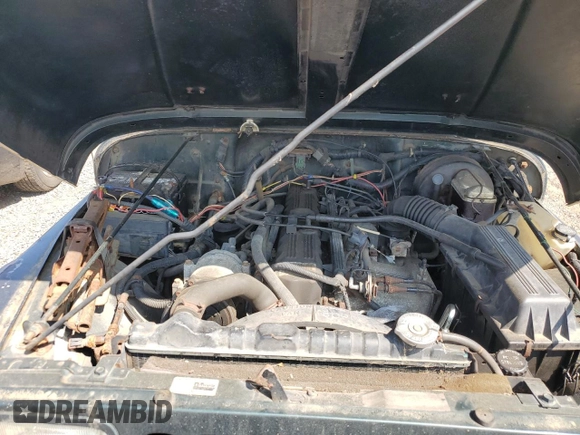 1994 Jeep Wrangler Sahara with VIN 1J4FY49S9RP444314, listed as a Copart auction lot 65976525 with 189,273 mi miles and Clean title. Bid and sale history available at DreamBid. Image 11.