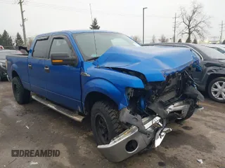 2010 Ford F-150 XL with VIN 1FTFW1EV9AFD53855, listed as a IAAI auction lot 41673966 with 144,118 mi miles. Bid and sale history available at carsss.com. Image 1.
