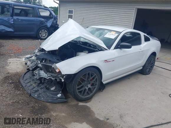 2014 Ford Mustang V6 with VIN 1ZVBP8AM3E5303642, listed as a IAAI auction lot 42559641 with 64,014 mi miles and . Bid and sale history available at DreamBid. Image 2.