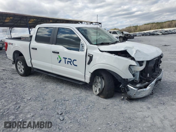 2023 Ford F-150 XL с VIN 1FTEW1EP8PFA03624, выставлен на аукционе Copart как лот 49273815 с пробегом 35 218 миль миль и Списание • Salvage title. История ставок и продаж доступна на DreamBid. Изображение 4.