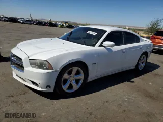 2013 Dodge Charger RT Plus with VIN 2C3CDXCT7DH516376, listed as a Copart auction lot 54274165 with 114,517 mi miles and Salvage Title. Bid and sale history available at carsss.com. Image 1.