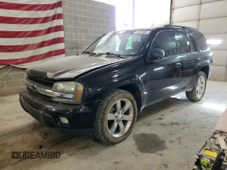 2002 Chevrolet TrailBlazer LS with VIN 1GNDT13S322152218, listed as a Copart auction lot 61235633 with 254,470 mi miles and Non Repairable. Bid and sale history available at DreamBid. Image 1.