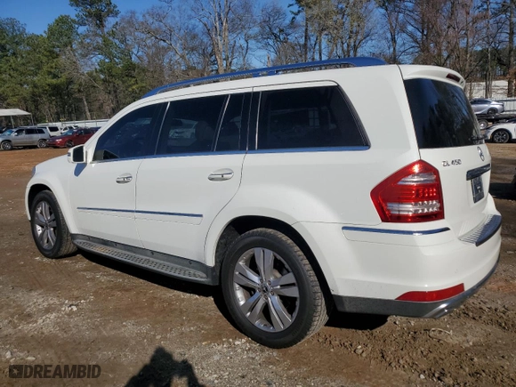 2011 Mercedes-Benz GL-Class GL 450 with VIN 4JGBF7BE5BA756389, listed as a Copart auction lot 48602155 with 125,854 mi miles and Salvage Title. Bid and sale history available at carsss.com. Image 2.