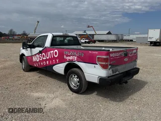 2011 Ford F-150 XL with VIN 1FTMF1CM4BKD89866, listed as a Copart auction lot 49290935 with 198,110 mi miles and Clean Title. Bid and sale history available at DreamBid. Image 3.