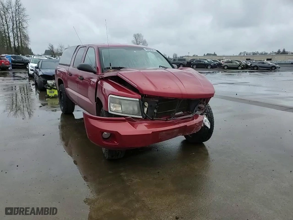 2010 Dodge Dakota Bighorn/Lonestar with VIN 1D7CW3GK4AS225411, listed as a Copart auction lot 48084595 with 0 mi miles and Salvage Title. Bid and sale history available at carsss.com. Image 15.