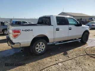 2013 Ford F-150 XL with VIN 1FTFW1EF0DFA71889, listed as a Copart auction lot 47989605 with 282,091 mi miles and Salvage Title. Bid and sale history available at carsss.com. Image 3.