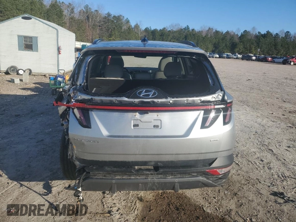 2024 Hyundai Tucson Limited с VIN 5NMJECDE1RH295202, выставлен на аукционе Copart как лот 48475315 с пробегом 18 801 миль миль и Списание • Salvage title. История ставок и продаж доступна на DreamBid. Изображение 6.