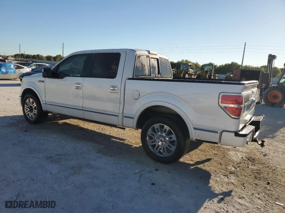 2010 Ford F-150 XL with VIN 1FTFW1CV1AFD16351, listed as a Copart auction lot 49497075 with 223,950 mi miles and Salvage Title. Bid and sale history available at carsss.com. Image 2.
