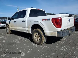 2023 Ford F-150 XL with VIN 1FTFW1E59PKE35312, listed as a Copart auction lot 86181444 with 19,849 mi miles and Salvage Title. Bid and sale history available at carsss.com. Image 2.