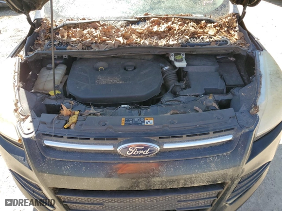 2013 Ford Escape SE with VIN 1FMCU0G94DUD49145, listed as a Copart auction lot 48776785 with NaN miles and Clean Title. Bid and sale history available at carsss.com. Image 12.
