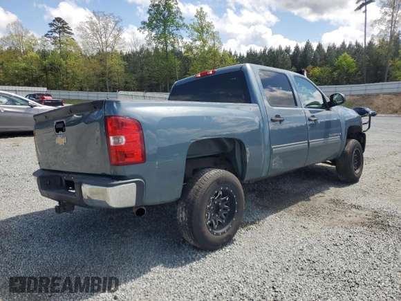 2009 Chevrolet Silverado 1500 LT with VIN 3GCEC23J19G110397, listed as a Copart auction lot 52203125 with 175,022 mi miles and Salvage Title. Bid and sale history available at carsss.com. Image 3.