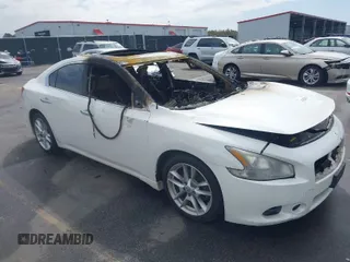 2009 Nissan Maxima SV with VIN 1N4AA51E29C824866, listed as a IAAI auction lot 41826379 with Not Provided miles and . Bid and sale history available at DreamBid. Image 1.