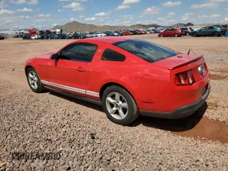 2010 Ford Mustang V6 with VIN 1ZVBP8AN6A5128015, listed as a Copart auction lot 59201315 with 143,591 mi miles and Salvage title. Bid and sale history available at DreamBid. Image 2.