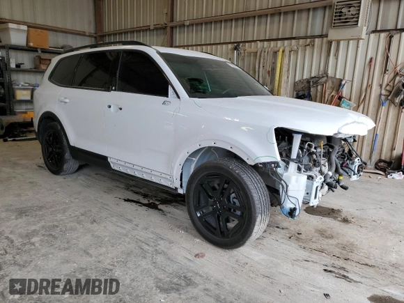 2024 Kia Telluride EX X-Line with VIN 5XYP3DGC1RG520082, listed as a Copart auction lot 53467105 with 20,251 mi miles and Salvage title. Bid and sale history available at DreamBid. Image 4.