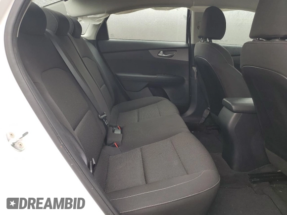 2019 Kia Forte LXS with VIN 3KPF24AD6KE096319, listed as a Copart auction lot 47948545 with 46,736 mi miles and Non repairable. Bid and sale history available at DreamBid. Image 10.