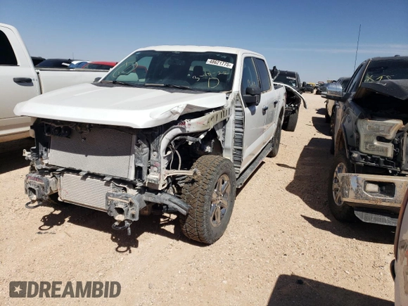 2024 Ford F-150 XLT with VIN 1FTFW3L84RKE22740, listed as a Copart auction lot 48621775 with 19,640 mi miles and Salvage Title. Bid and sale history available at carsss.com. Image 1.