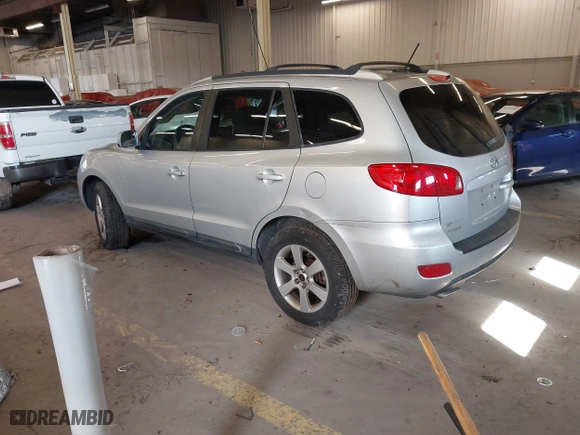 2008 Hyundai Santa Fe SE with VIN 5NMSH13E18H138348, listed as a IAAI auction lot 41777108 with 203,674 mi miles. Bid and sale history available at carsss.com. Image 3.