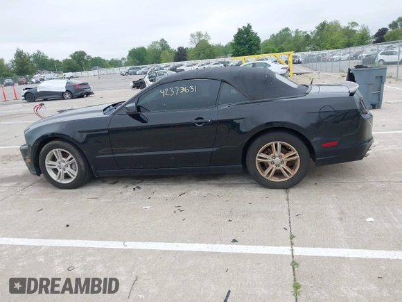 2013 Ford Mustang V6 with VIN 1ZVBP8EM9D5239373, listed as a IAAI auction lot 42373631 with 110,821 mi miles and . Bid and sale history available at DreamBid. Image 14.