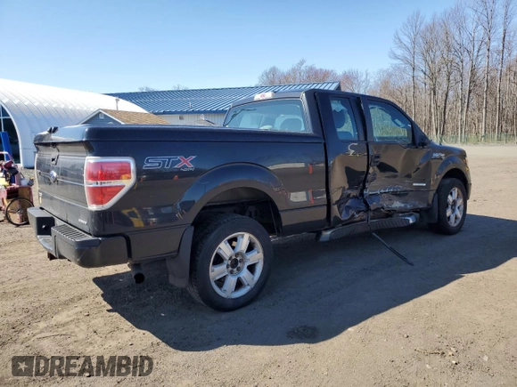 2014 Ford F-150 XL with VIN 1FTFX1EF1EFA81359, listed as a Copart auction lot 53727195 with 199,059 mi miles and Salvage Title. Bid and sale history available at DreamBid. Image 3.