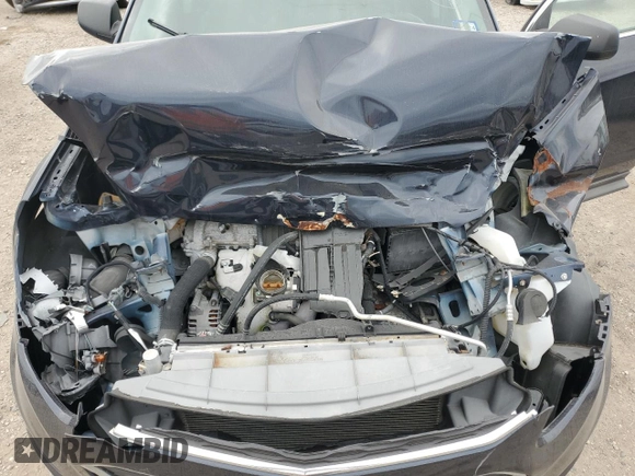 2017 Chevrolet Equinox LS with VIN 2GNALBEK2H1524453, listed as a Copart auction lot 53070015 with 0 mi miles and Salvage Title. Bid and sale history available at carsss.com. Image 11.