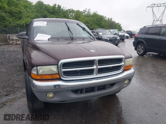 2004 Dodge Dakota SLT with VIN 1D7HG48N04S718220, listed as a IAAI auction lot 42258803 with 250,757 mi miles and . Bid and sale history available at DreamBid. Image 6.