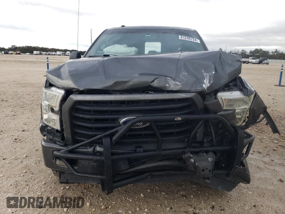 2017 Ford F-150 XL with VIN 1FTEX1CF6HFA97169, listed as a Copart auction lot 81240734 with 64,992 mi miles and Salvage Title. Bid and sale history available at carsss.com. Image 5.