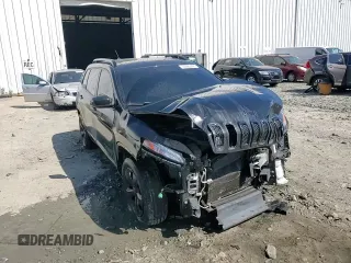 2016 Jeep Cherokee Limited with VIN 1C4PJMDB0GW366630, listed as a Copart auction lot 57622875 with 219,132 mi miles and Salvage title. Bid and sale history available at DreamBid. Image 15.