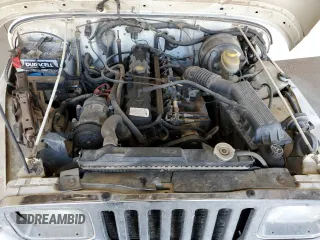 1995 Jeep Wrangler with VIN 1J4FY29SXSP309742, listed as a Copart auction lot 82399484 with 167,866 mi miles and Salvage Title. Bid and sale history available at carsss.com. Image 12.