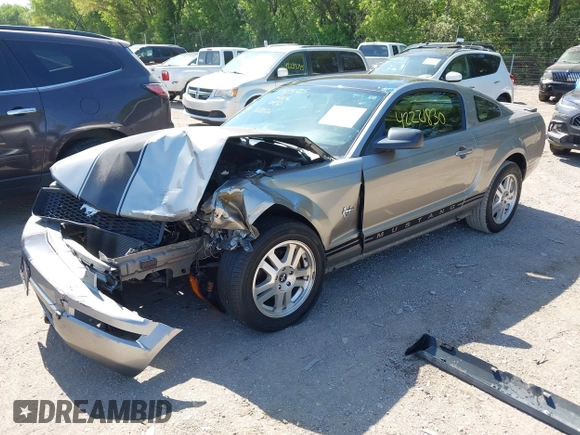 2009 Ford Mustang with VIN 1ZVHT80N295128872, listed as a IAAI auction lot 42221830 with 112,294 mi miles and . Bid and sale history available at DreamBid. Image 2.
