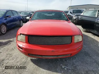 2006 Ford Mustang Standard with VIN 1ZVFT84N465151325, listed as a Copart auction lot 50571645 with Not Provided miles and Clean Title. Bid and sale history available at carsss.com. Image 5.
