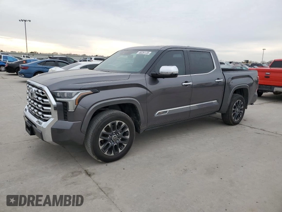 2022 Toyota Tundra 1794 Edition with VIN 5TFMA5DB4NX001531, listed as a Copart auction lot 48254135 with 70,101 mi miles and Clean title. Bid and sale history available at DreamBid. Image 1.