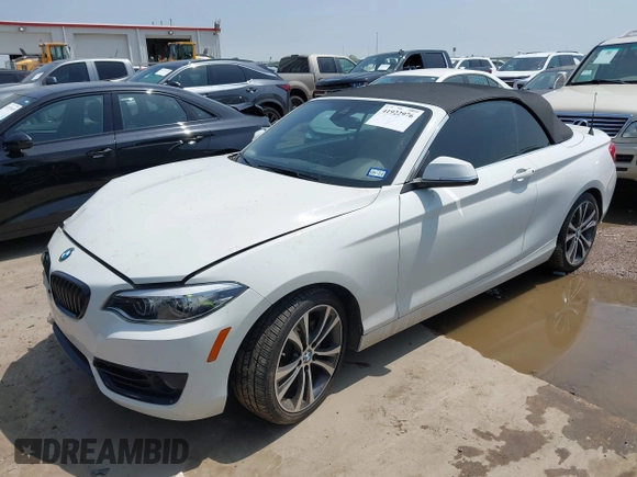 2019 BMW 2 Series 230i with VIN WBA2M7C56KVD52017, listed as a IAAI auction lot 41922976 with 42,194 mi miles and . Bid and sale history available at carsss.com. Image 18.