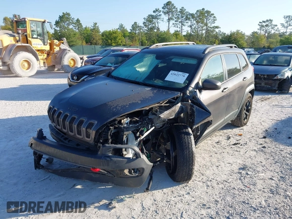 2018 Jeep Cherokee Trailhawk with VIN 1C4PJMBX7JD517299, listed as a IAAI auction lot 42022770 with 62,865 mi miles. Bid and sale history available at carsss.com. Image 2.