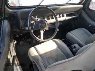 1993 Jeep Wrangler with VIN 1J4FY29S2PP242528, listed as a Copart auction lot 49787365 with 147,707 mi miles and Salvage Title. Bid and sale history available at carsss.com. Image 8.