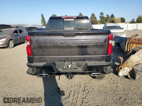 2023 Chevrolet Silverado 1500 LT Trail Boss with VIN 3GCUDFED0PG243561, listed as a Copart auction lot 73737564 with 22,701 mi miles and Salvage Title. Bid and sale history available at DreamBid. Image 6.