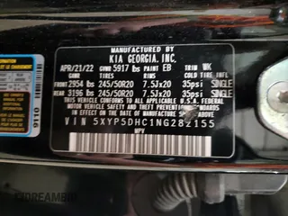2022 Kia Telluride SX with VIN 5XYP5DHC1NG282155, listed as a Copart auction lot 53046715 with 43,921 mi miles and Salvage title. Bid and sale history available at DreamBid. Image 15.
