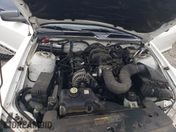 2008 Ford Mustang Deluxe с VIN 1ZVHT80N985136675, выставлен на аукционе Copart как лот 61352255 с пробегом 144 043 миль миль и Списание • Salvage title. История ставок и продаж доступна на DreamBid. Изображение 11.