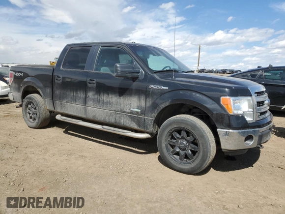 2013 Ford F-150 XL with VIN 1FTFW1ET2DFB46825, listed as a Copart auction lot 55166615 with 195,309 mi miles and Clean Title. Bid and sale history available at carsss.com. Image 4.
