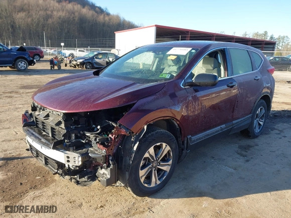 2019 Honda CR-V LX with VIN 2HKRW6H34KH210131, listed as a IAAI auction lot 41776685 with 75,339 mi miles. Bid and sale history available at carsss.com. Image 2.