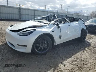 2025 Tesla Model Y Long Range with VIN 7SAYGAEE8SF307609, listed as a Copart auction lot 49817545 with Not Provided miles and Clean Title. Bid and sale history available at DreamBid. Image 1.