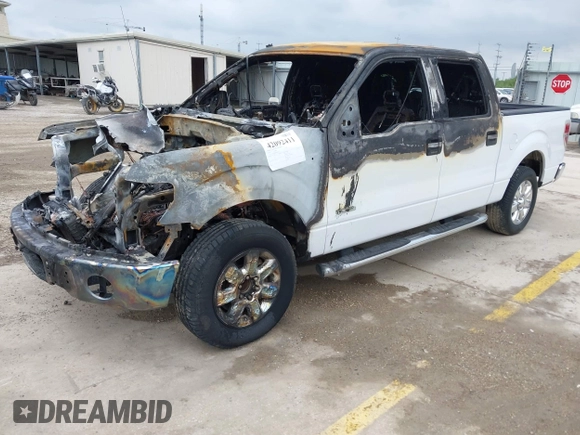 2014 Ford F-150 XL with VIN 1FTFW1CT9EKG46573, listed as a IAAI auction lot 42092411 with 94,879 mi miles and . Bid and sale history available at DreamBid. Image 2.