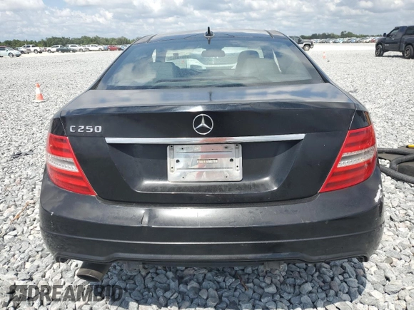 2013 Mercedes-Benz C 250 with VIN WDDGJ4HB7DG039616, listed as a Copart auction lot 55070365 with Not Provided miles and Salvage Title. Bid and sale history available at DreamBid. Image 6.