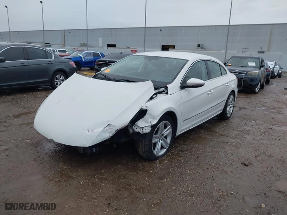 2013 Volkswagen CC Sport with VIN WVWBN7AN0DE553933, listed as a IAAI auction lot 41306575 with 98,134 mi miles. Bid and sale history available at carsss.com. Image 18.