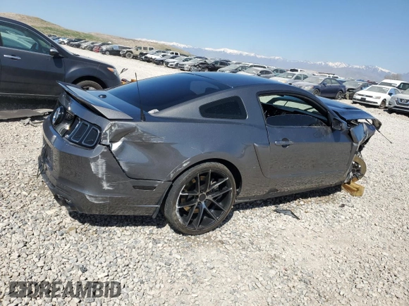 2013 Ford Mustang GT with VIN 1ZVBP8CF3D5246615, listed as a Copart auction lot 53124855 with Not provided miles and Salvage title. Bid and sale history available at DreamBid. Image 3.